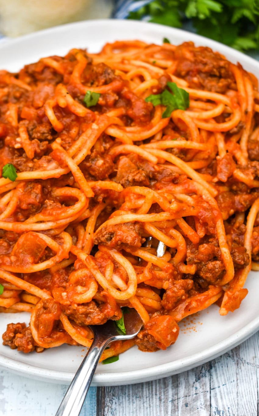 a silver fork wrapped in one pot spaghetti resting on the edge of a white plate