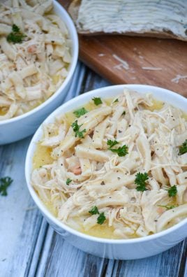 Instant-Pot-Chicken-&-Noodles-11